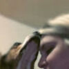 janish744